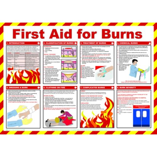First Aid For Burns Poster (POS13229)